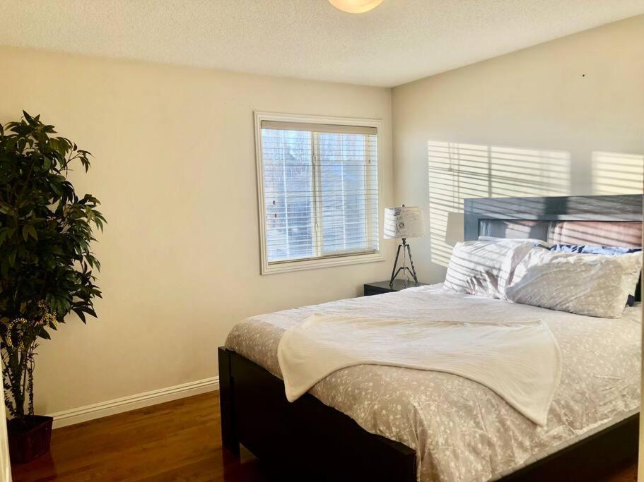 カルガリー 2500 Sq House In Springbank Hill Bl 261818ヴィラ エクステリア 写真